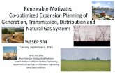 Renewable-Motivated Co-optimized Expansion Planning of …home.engineering.iastate.edu/~jdm/wesep594/Co... · 2016. 9. 13. · Chris Harding, Associate Professor Geological & Atmospheric