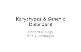 Karyotypes - Chandler Unified School District · Title: Karyotypes Author: Andy Created Date: 1/21/2014 4:02:46 PM