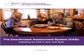 The Coordinated Assessment System (CAS)€¦ · OPWDD: The Coordinated Assessment System (CAS) Validity Study Key Personnel/Project Staff: Alberto V. Pruett, MS Howard Rothstein,