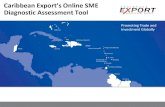 Caribbean Export’s Online SME Diagnostic Assessment Tool€¦ · PowerPoint Presentation Author: Joellen Laryea Created Date: 4/25/2018 6:47:33 PM ...