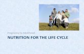 Pregnancy to Adulthood NUTRITION FOR THE LIFE CYCLE...Food & nutrition and you. Upper Saddle River, NJ: Pearson/Prentice Hall. Websites: • Academy of Nutrition an Dietetics The worlds