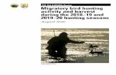 U.S.Fish&WildlifeService Migratorybirdhunting ......Figure 6: Age ratios of lesser scaup harvested in the United States ..... 51 Abstract: National surveys of migratory bird hunters