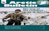 Arctic Bulletin - wwfeu.awsassets.panda.org · orcas (or killer whales) appear to be showing up in greater numbers and staying longer in Hudson Bay, Canada. Jeff Higdon, a graduate