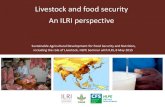 Livestock and food security An ILRI perspective · Pathways to improved Food Security A. Livestock-keeping households (nearly 1 billion people!) ... S&MSE in livestock markets . Gender