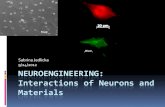 Sabrina Jedlicka 9/24/2012 NEUROENGINEERING ...inbios21/PDF/Fall2012/Jedlicka...Neuroengineering. Much more work to be done… Will require collaboration at the intersection of neuroprosthetics,