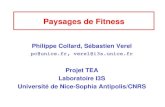 Paysages de Fitness et Neutralitéverel/talks/se... · 1 Paysages de Fitness Philippe Collard, Sébastien Verel pc@unice.fr, verel@i3s.unice.fr Projet TEA Laboratoire I3S Université
