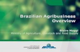 Brazilian Agribusiness Overview - European Parliament · Brazilian Agribusiness Overview Blairo Maggi Ministry of Agriculture, Livestock and Food Supply. Brazil –World Ranking,