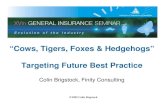 “Cows, Tigers, Foxes & Hedgehogs” Targeting Future Best ... · The Hedgehog Concept • Is NOT – A goal to be the best – A strategy to be the best – An intention to be the
