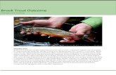 Brook Trout Outcome - Chesapeake Bay Program · 2017. 7. 25. · Introduction Brook Trout symbolize healthy waters because they rely on clean, cold stream habitat and are sensitive