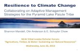 Resilience to Climate Change · 2019. 12. 19. · Resilience to Climate Change Collaborating on Adaptive Management Strategies for the Pyramid Lake Paiute Tribe Shannon Mandell, Olin
