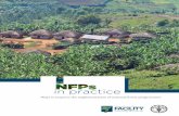 NFP in Practice Inglese · NFPs, but few NFPs have been able to coordinate all forest-related initiatives at the country level as originally intended. In many countries they are seen