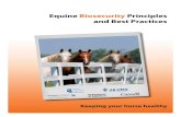 Equine Biosecurity Principles and Best PracticesDepartment/deptdocs.nsf/all/cpv1324… · Equine Biosecurity Principles and Best Practices Equine Bosicenr t yiPin erptl a As a horse