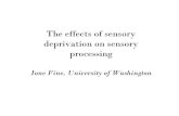 The effects of sensory deprivation on sensory processing · 2008. 2. 18. · deprivation on sensory processing Ione Fine, University of Washington. Molyneux’squestion "Suppose a