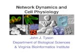 Network Dynamics and Cell Physiology · John J. Tyson Department of Biological Sciences & Virginia Bioinformatics Institute. Outline 1. Cell Signaling: Physiology 2. Cell Signaling: