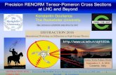 Precision RENORM Tensor-Pomeron Cross Sections at LHC and ...physics.rockefeller.edu/dino/myhtml/talks/D2016DinoTalk.pdf · Precision RENORM Tensor-Pomeron Cross Sections at LHC and