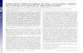Subcortical differentiation of stop consonants relates to ... · Subcortical differentiation of stop consonants relates to reading and speech-in-noise perception Jane Hornickela,