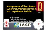 M. El Ansary Prof. of Pain Medicine Azhar University, Egypt PLENIERE/13-M. El … · Lumbar neuroaxial blockade (L.A + opioid) Spinal Epidural Caudal neuroaxial blockade (L.A + opioid)