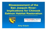 Bioassessment of the San Joaquin River: Implications for ......San Joaquin River Restoration Program ... J.Morales, S. Rutherford, B. Soto Acknowledgments. Questions? Title: Microsoft
