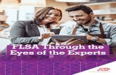 FLSA Through the Eyes of the Experts · 2016. 7. 20. · 2 FLSA Guidebook May 2016 Introduction On Wednesday, May 18, 2016, the United States Department of Labor (DOL) published its