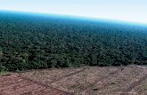 Fuji Xerox Sustainability Report 2014...※1 国際連合食糧農業機関「世界森林資源評価 2010」：2000-2010年のデータ ※2 FSC®(Forest Stewardship Council、森林管理評議会):世界の森林の環境保全に配