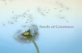 Seeds of Greatness · 1874 - Married George Irving 1875 - One son: John born June 1875 1883 – met Mary Baker Eddy in Manchester, New Hampshire received spiritual healing – condition