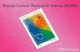Breast Cancer Research Stamp (BCRS) · Despite some wishful reports, breast cancer, worldwide, is on the rise. In the United States alone, the National Cancer Institute (NCI) predictions
