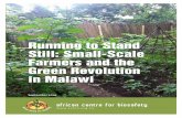 Running to Stand Still: Small-Scale Farmers and the Green ... · Running to Stand Still: Small-Scale Farmers and the Green Revolution in Malawi vii hybridisation of conventional,