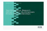 techinsights what smart businesses know about devops · DevOps is a methodology that combines what used to be the separate and sequential ... the trinity of all disruptive IT trends: