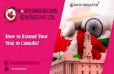 Top Immigration Consultants Delhi for Canada | Novusimmigrationdelhi.com