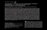 Treatment effects of the edgewise Herbst appliance: A … · Treatment effects of the edgewise Herbst appliance: A cephalometric and tomographic investigation Ryan VanLaecken,a Chris