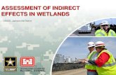 ASSESSMENT OF INDIRECT EFFECTS IN WETLANDS...Overall - Wetland functional losses resulting from indirect effects should be considered, can be assessed, and compensatory mitigation