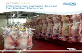 Minimising carcase losses for Better Returns...Liver fluke In England in 2017, more than 16.4 per cent of cattle livers and nearly 7.8 per cent of sheep livers were excluded from the
