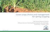 Cover crops choice and management for spring cropping€¦ · •Nitrogen supply to following crop •Earthworms 7. Research gaps 8. Conclusions Phacelia. ... • Some evidence for