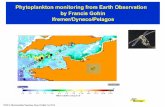 Phytoplankton monitoring from Earth Observation by Francis … · IFREMER DYNECO Si CERSAT P90 Chlorophyll-a productive period (2001-2006) Bertrand Saulqtnn & Francis Gohin MODIS-SeaWIFS