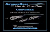 Aquaculture in North Carolina · 2016. 1. 12. · Aquaculture in North Carolina ~ Crawfish North Carolina Crawfish Farms, by County, 2000 Mountain Piedmont Coastal Plain ˘ ˇ ˇ