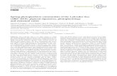 Spring phytoplankton communities of the Labrador Sea (2005 ...high-performance liquid chromatography (HPLC) has been widely used to monitor phytoplankton community distribu-tions over