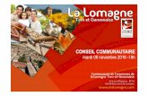 Communauté de Communes de la Lomagne Tarn et ......2016/11/08  · - Une MSP à Beaumont et une MSP à Lavit portées par CC Lomagne Tarn et Garonnaise. - Une MSP à St Nicolas portée