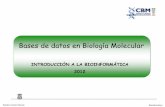 Bases de datos en Biología Molecularbioweb.cbm.uam.es/courses/MasterVirol2013/databases/BBDD_intro… · Paulino Gomez-Puertas Bioinformática El 22 de Agosto de 2005 se alcanzó