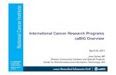 International Cancer Research Programs caBIG OiOverview · caBIG®: Creating a Worldwide Web of Cancer Research caBIG® is a virtual network of interconnected data, individuals, and