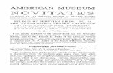AMERICAN MUSEUM NOVISTATES · Trochilus brachyrhynchus FRASER, 1840 (July), Proc. Zool.Soc. London,pt. 8, p. 16-Bogota. Five specimens of this species from northwestern Perut agree