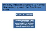Primary Internal structure & Normal Secondary growth in ...willingdoncollege.in/pdf/.../Botany/Sunflower_Stem... · Primary Internal structure of Sunflower stem Transverse section