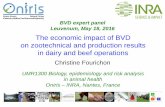 The economic impact of BVD on zootechnical and production ... · Outline of the presentation . Virus introduction in a naïve herd •All animals are susceptible •Spread of the