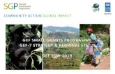 GEF SMALL GRANTS PROGRAMME GEF-7 STRATEGY ... ECW...Project 1 Project 2 Project 3 Country Programme Team National Steering Committee National Policies and Plan SGP Global Strategy