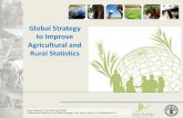 Global Strategy to Improve Agricultural and Rural Statistics€¦ · to Improve Agricultural and Rural Statistics . Expert Session 2: SSPARS and NSDS Stakeholders Meeting on the Global