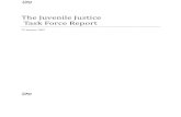 The Juvenile Justice Task Force Report - Maine · 2009. 1. 29. · put forward by the Juvenile Justice Task Force. Task Force members acted as facilitators for discussion and retained
