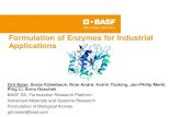 Formulation of Enzymes for Industrial Applications€¦ · Smart and mild procedures (low energy dissipation rates) ... colloidal engineering, biosystems & – surfaces, construction.