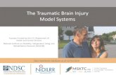 The Traumatic Brain Injury Model Systems€¦ · The Traumatic Brain Injury Model Systems. Data represents database as of 12/31/2019. 2. ... Characterization and Treatment of Chronic