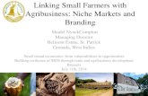 Linking Small Farmers with Agribusiness: Niche Markets and ... · Niche Marketing Supplying goods or services to segment or target group outside of mainstream Or a small scale business