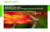 Briefing Paper BREEAM UK Strategic Ecology Frameworkfiles.bregroup.com/breeam/briefingpapers/BREEAM-SEF... · 2017. 6. 21. · Briefing Paper Alan Yates, Yetunde Abdul and Cary Buchanan