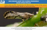 IFAS DISEASE ALERT FOR FLORIDA PANHANDLE ASIAN ...Florida Panhandle. Asian citrus psyllid is not yet established in the Florida Panhandle, but is regularly found in retail venues and
